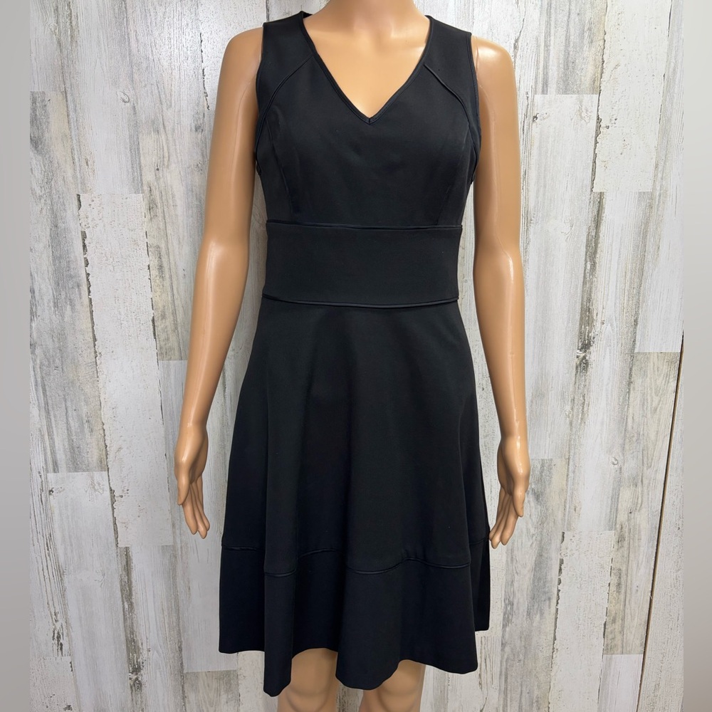 Banana Republic Black Ponte Sleeveless Fit & Flare Dress